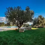 Abelia Luxurious
