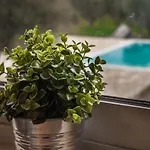 Abelia Luxurious דירה