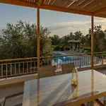 Abelia Luxurious *