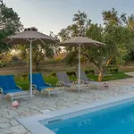Abelia Luxurious * פיניקונטה