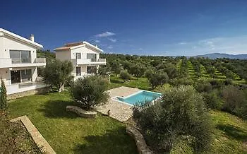 Abelia Luxurious