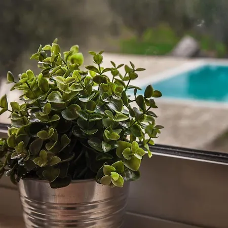 Abelia Luxurious Διαμέρισμα