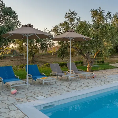 Abelia Luxurious * Finikounta