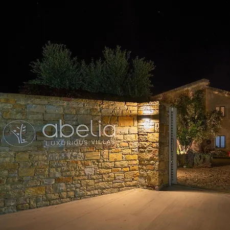 Abelia Luxurious * פיניקונטה