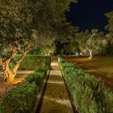 Abelia Luxurious * פיניקונטה