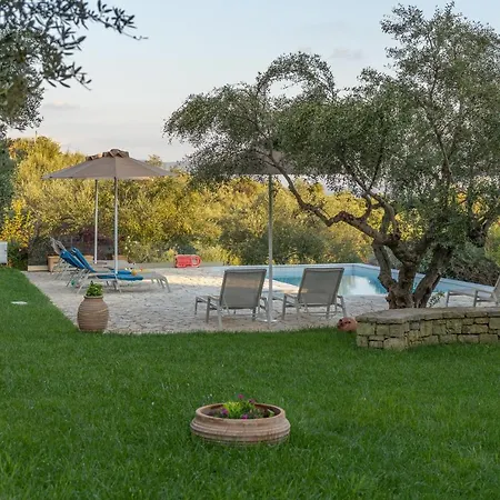 Abelia Luxurious * Finikounta