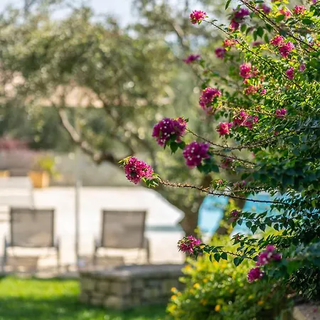 Abelia Luxurious Lägenhet *