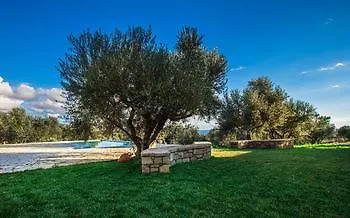 Abelia Luxurious Finikúnda