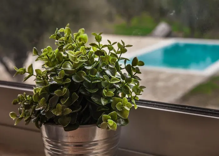 Abelia Luxurious Lejlighed