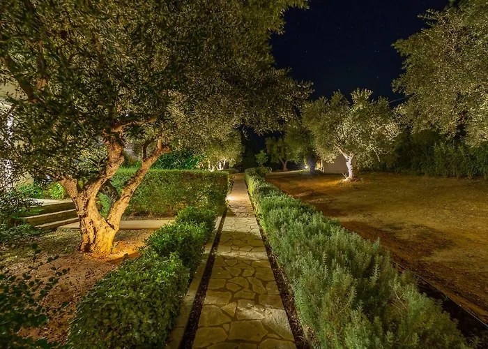 Abelia Luxurious * Finikúnda