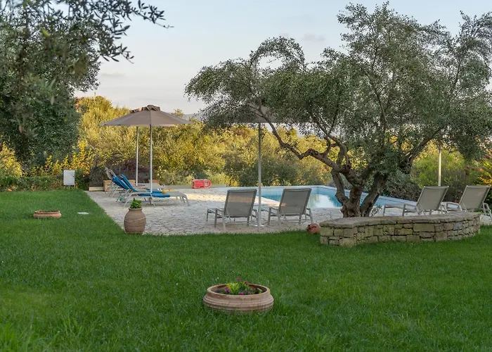 Abelia Luxurious * Finikounta